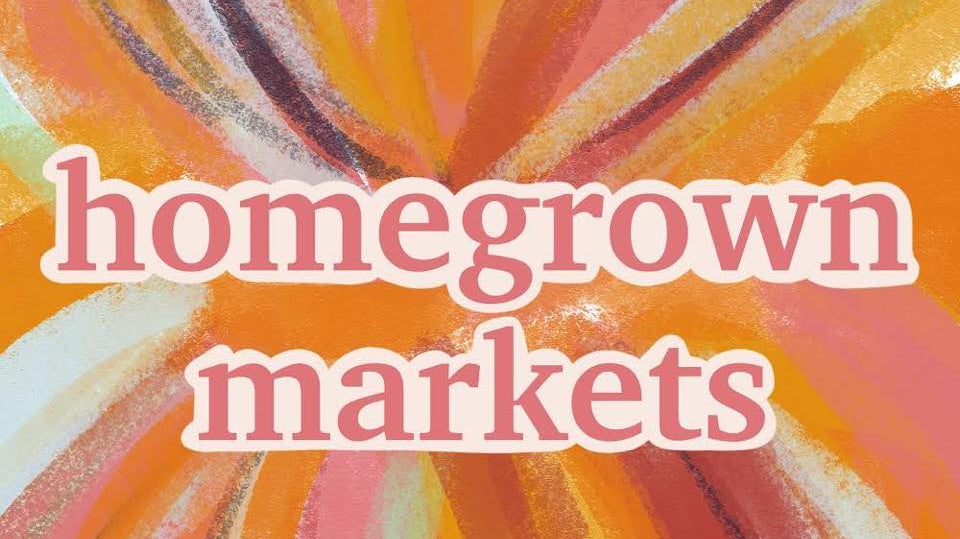 SPEERS POINT - LAKE MACQUARIE. 03/11/24