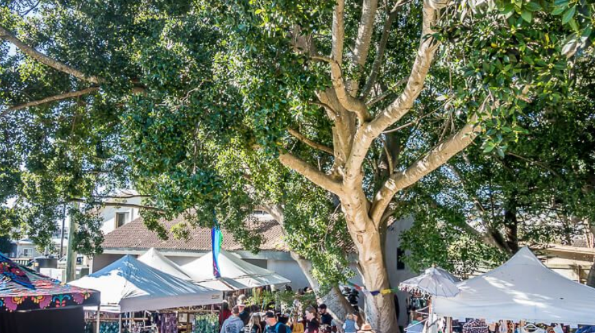 AVOCA BEACH MARKETS, CENTRAL COAST.