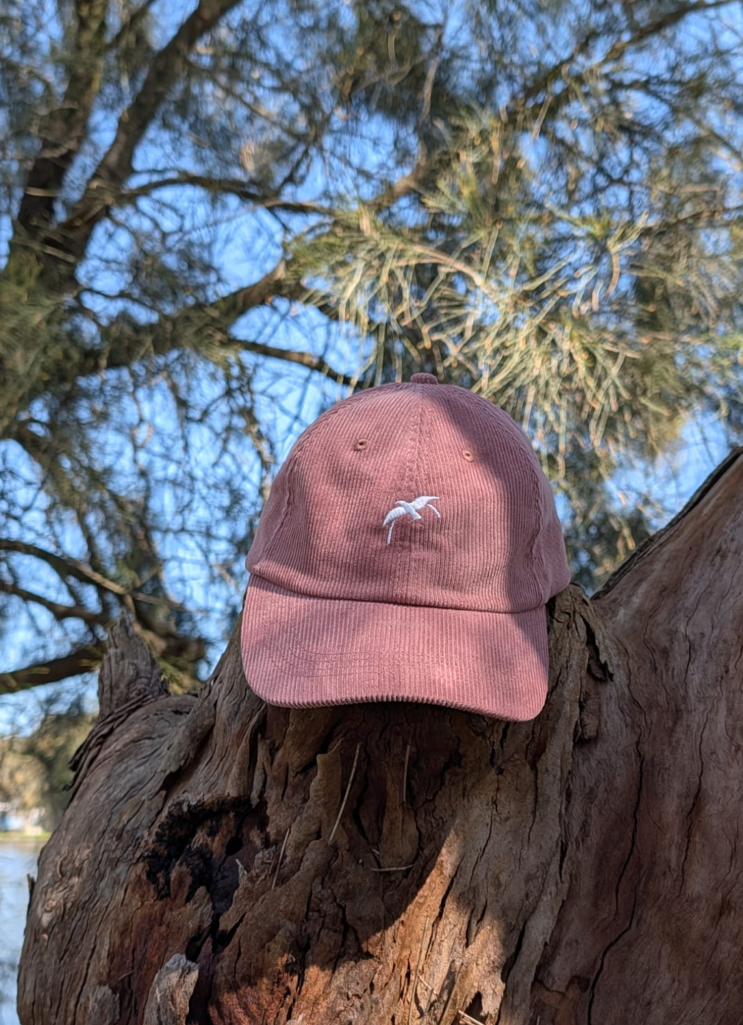 Signature Berry Dad Cap in pink corduroy by Bird & Hill.