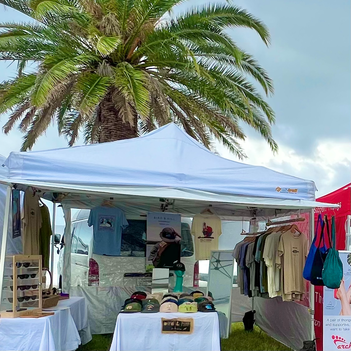 WARNERS BAY MARKETS -  LAKE MACQUARIE. 17/08/24