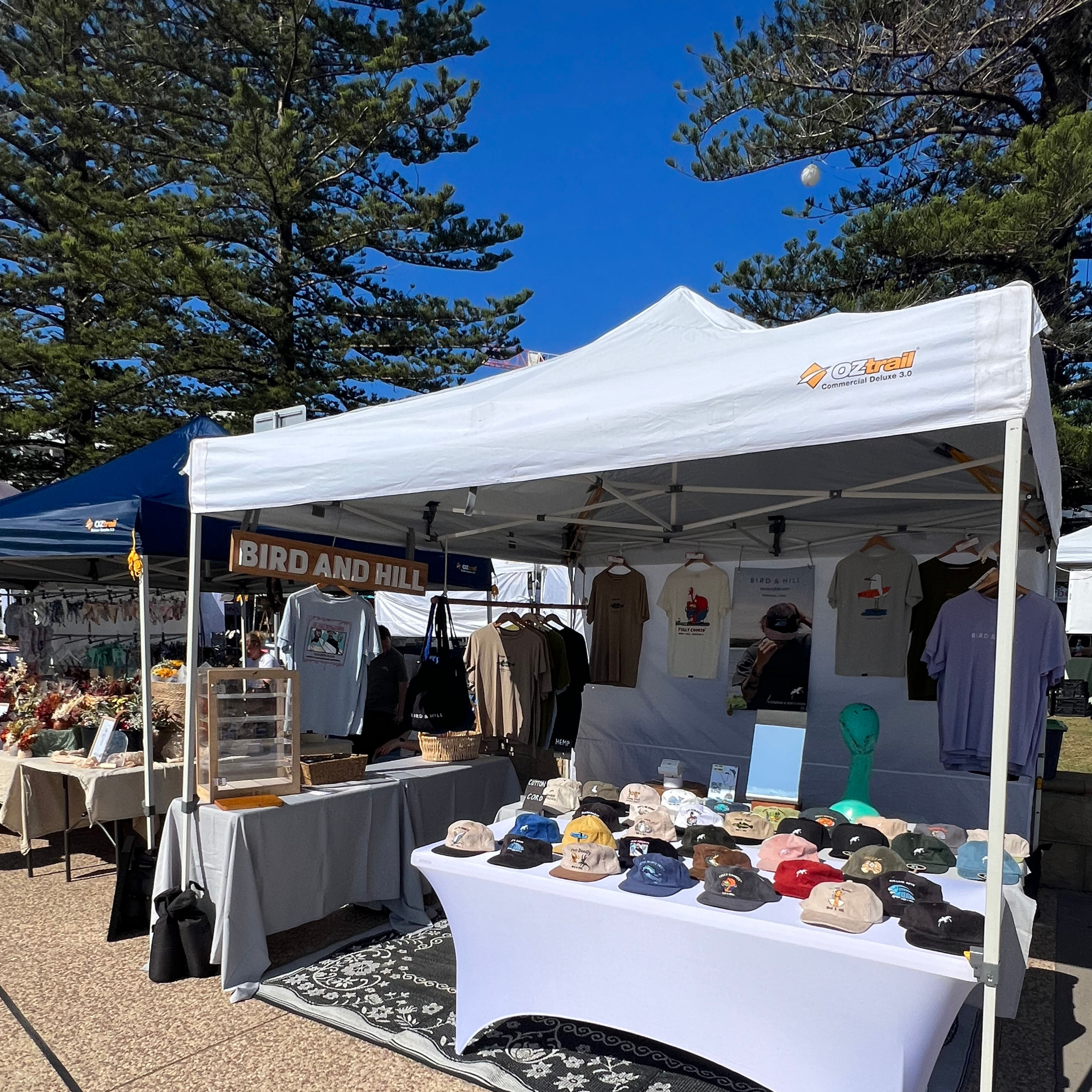 TERRIGAL BEACH MARKETS, CENTRAL COAST. 02/11/24